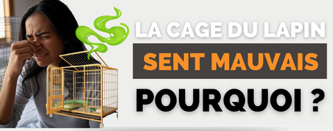 cage lapin sent mauvais