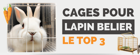 Quelle Cage Pour Lapin Bélier ? (TOP 3)