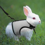veste pour lapin sans manche