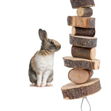 jouet lapin maison cage