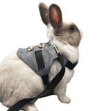 veste noir pour le lapin
