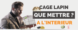 Quoi Mettre dans le Fond de la Cage à Lapin ?