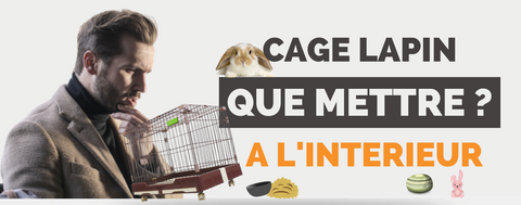 Que mettre dans une cage à lapin