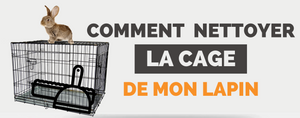 comment nettoyer cage lapin