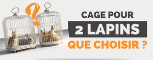 Quelle Cage pour 2 Lapins ?