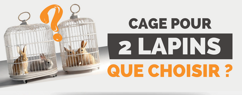 cage pour 2 lapins