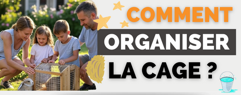 Comment Organiser Cage Lapin