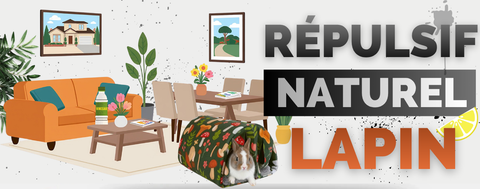 Répulsif naturel pour lapin