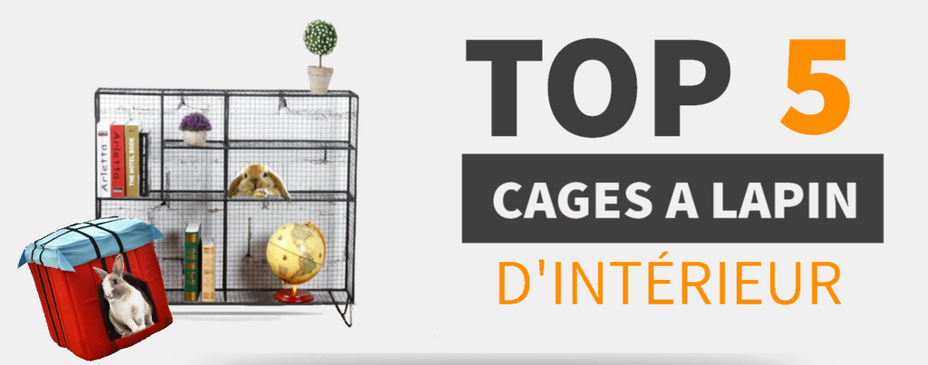 TOP 5 : Cages à Lapin d'Intérieur