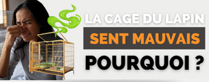 Pourquoi la Cage de Mon Lapin Sent Mauvais ?