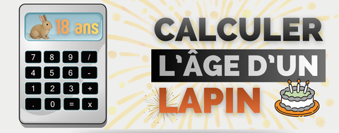 calcul age lapin