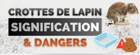 crotte de lapin signification