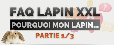 faq lapin