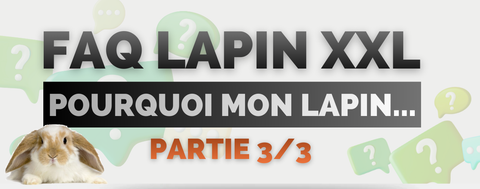 faq lapin