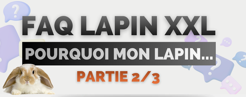 faq sur lapin