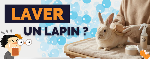 laver un lapin
