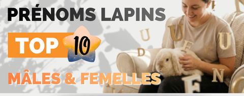 prenoms lapin