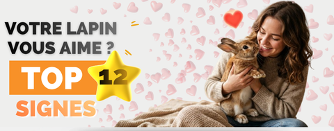 signes qui montrent que lapin nous aime