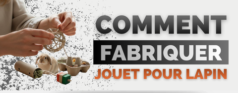 faire un jouet pour lapin