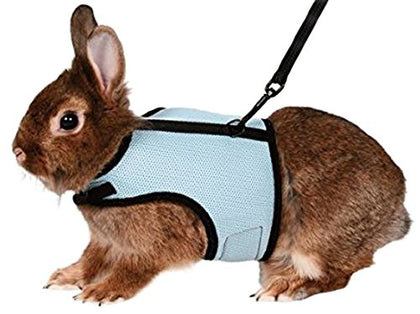 manteau pour lapin