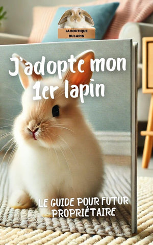 Ebook | Adopter son 1er lapin (Guide)