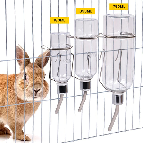 Abreuvoir Lapin
