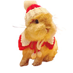 Echarpe Lapin