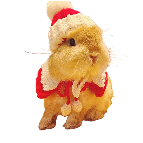 Echarpe Lapin