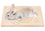 Jouet Pour Griffe Lapin