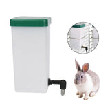 Lapin Nain Abreuvoir 