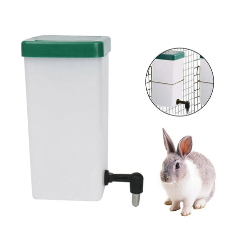 Lapin Nain Abreuvoir 