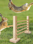 Parcours de Lapin