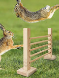 Parcours de Lapin