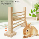 Parcours de Lapin hauteur reglable