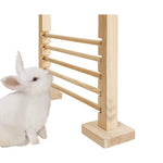 Parcours pour Lapin jeu