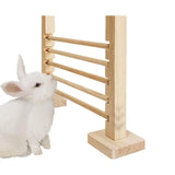 Parcours pour Lapin jeu