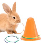 Saut d'obstacle pour lapin
