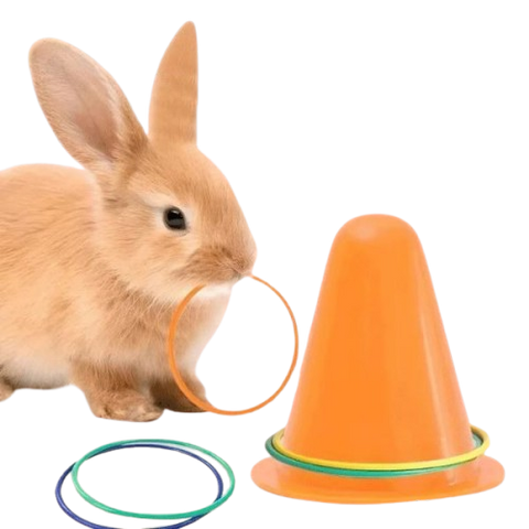 Saut d'obstacle pour lapin