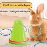Saut d'obstacles pour lapin