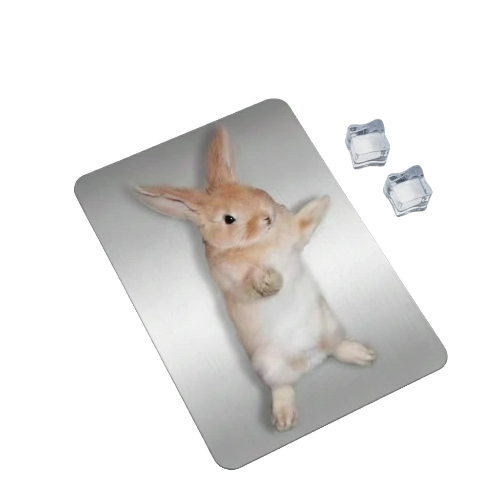 Tapis Rafraîchissant Lapin