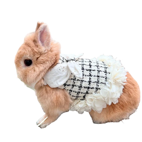 Vetement Lapin Nain