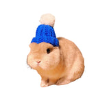 bonnet lapin bleu