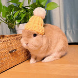 bonnet lapin jaune

