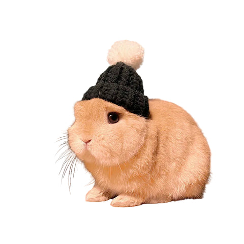 bonnet pour lapin