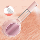 brosse spray lapin