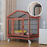 cage lapin design robuste