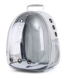 cage lapin transparente