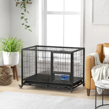 cage d'un lapin nain