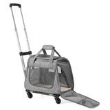 cage pour lapin dehors