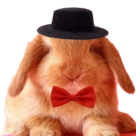 chapeau pour lapin